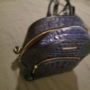 Brahmin backpack